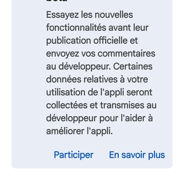 ChatGPT Version Beta