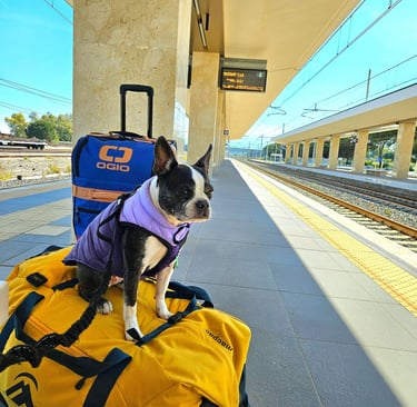 Yoki sitting on a suitcase at the train station in Milazzo, Sicily.