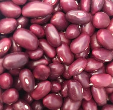 Frijol variedad Cerinza color rojo oscuro vino tinto grano firme