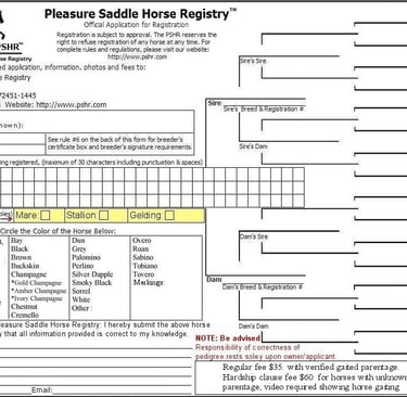 Click for larger version of 1st page of gaited horse application form