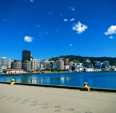 Commercial Cleaning Tips for Wellington Businesses