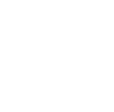 LION WORK GROUP