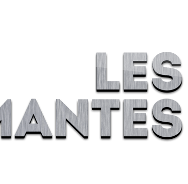logo du site les imprimantes3D.fr