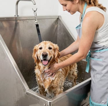 Bright living room with modern inventory