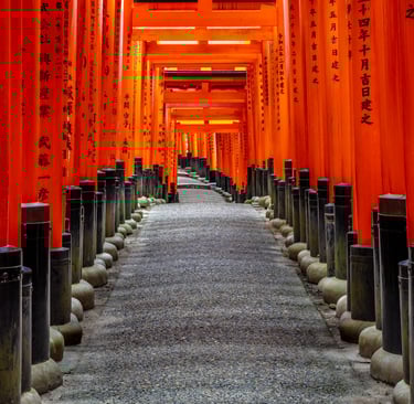 TORII GATES