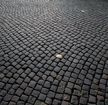 A wide-angle view of a dark grey cobblestone street pavement with scattered autumn leaves.