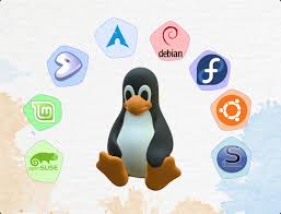 Testez en Ligne Linux !