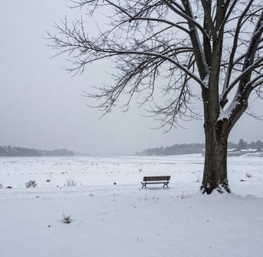 white concrete building during daytime