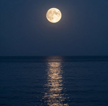 white concrete building during daytime