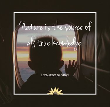 Nature is the source of all true knowledge. Leonardo Da Vinci