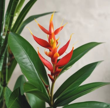 Bright living room with modern inventory