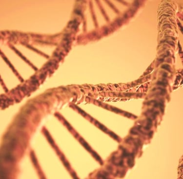 Αλυσίδα DNA για τεστ διατροφικής γενετικής και εξατομικευμένη διατροφή στη Θεσσαλονίκη