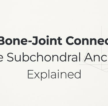 The Bone-Joint Connection The Subchondral Anchor Explained