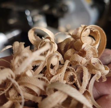 symbolique et vertus des bois