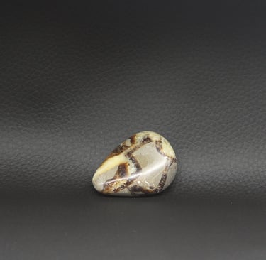 Galet Septaria Madagascar - Pierre de Protection | L'essence aux 1000 pendules