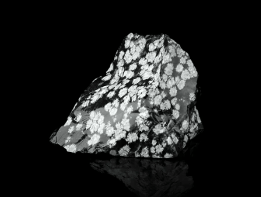 Obsidienne Flocon de Neige