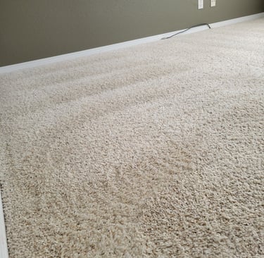 Beautiful White Carpet, Finished Results, King Organic Clean 