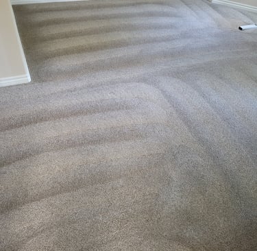 Beautiful Clean Carpet when using King Organic Clean, Organic Carpet Cleaning System