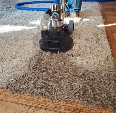 King Organic Clean in the process of organic carpet cleaning, using the Tornado, removing dirt.