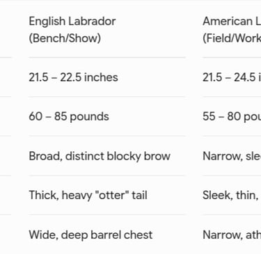 English vs American Lab chart