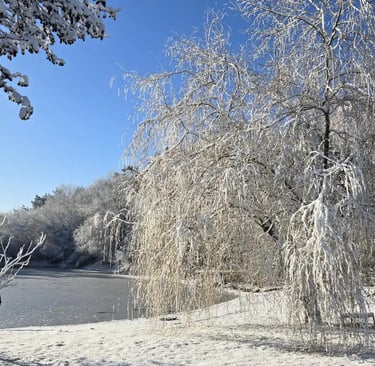 lac gele domaine du clody