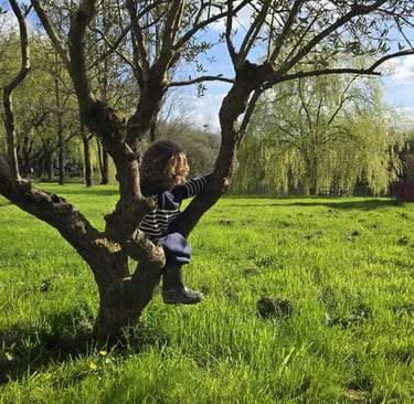 parc jardin étang nature