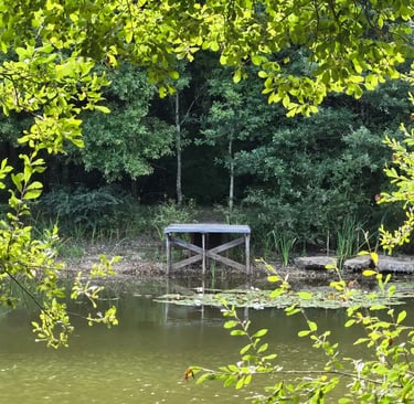 jardin parc ponton etang domaine du clody