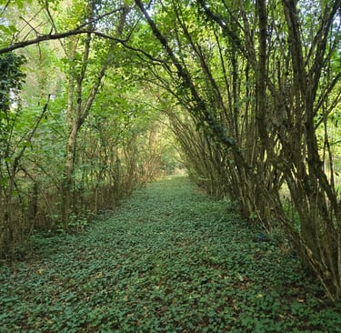 jardin parc domaine du clody