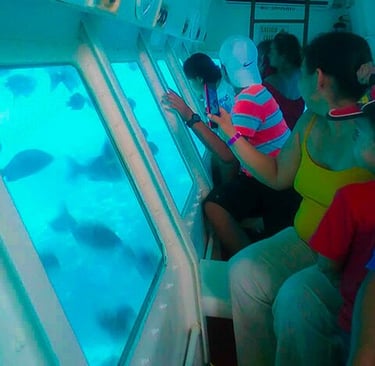 Glass Bottom Boat Roatan Honduras