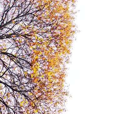 a clock tower with a clock on it