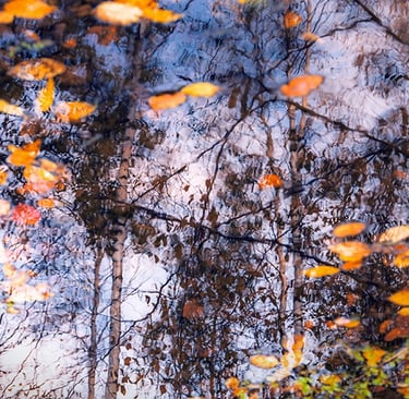 a bench with a bench and some leaves