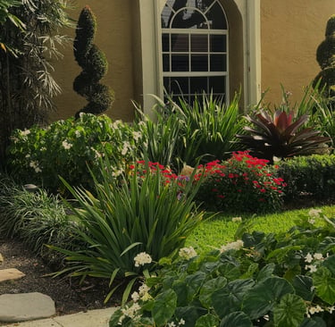 Lush tropical front yard landscaping with arched window, spiral topiary, and red flowers.