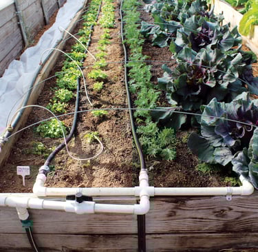 sistema de riego por goteo en huerto con tuberías y goteros
