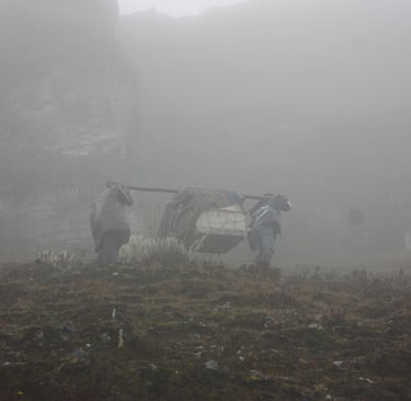 Andean condor release day at Cerros Nevados Ritacuá, El Cocuy, Colombia