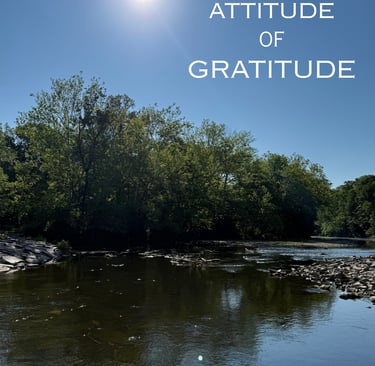 Attitude of Gratitude blog