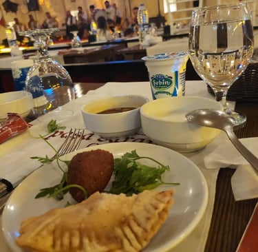 Urfa Sıra Gecesi | Gap Sıra Geceleri