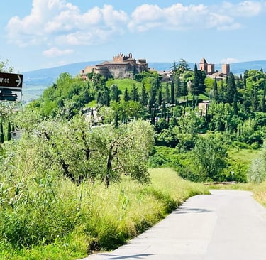 Scenic rural road leading to the historic hilltop village of Certaldo Alto in the Tuscan countryside, Italy