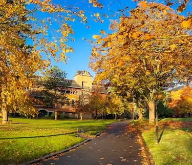 Golden autumn leaves frame a university campus path with historic brick buildings under a clear blue sky.