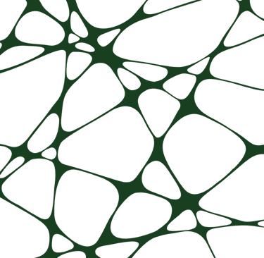 Abstract dark green network of interconnected lines and organic shapes on a white background.