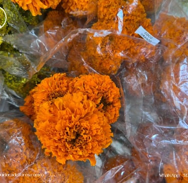 mayoristas de flores en el eje cafetero