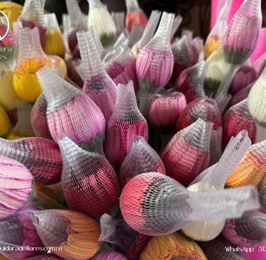distribuidora de flores manizalez
