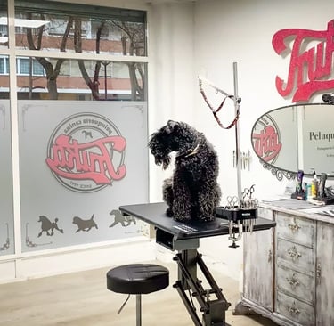 peluqueria canina en Alcorcon