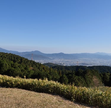 基山山頂からの風景