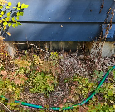 Huckabee Handyman Services, Basement window before