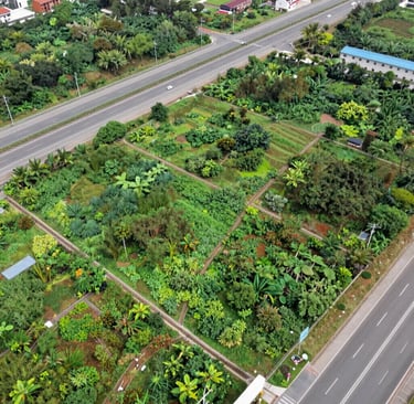 A serene open plot in Uran with lush greenery under a clear blue sky.