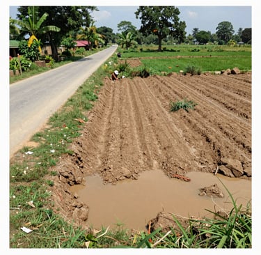 Sunset view over a spacious Panvel plot, highlighting the peaceful surroundings.