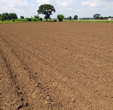 Panvel open plot with clear boundary markers and a bright sunny day.