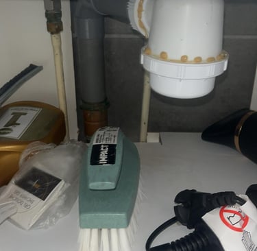 traitement blattes cafard arenthon