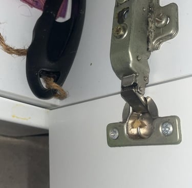 traitement blattes cafard bonneville