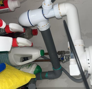 traitement blattes cafard cluses